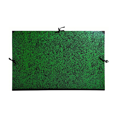 EXACOMPTA Carton à dessin 750 x 1.050 mm carton vert