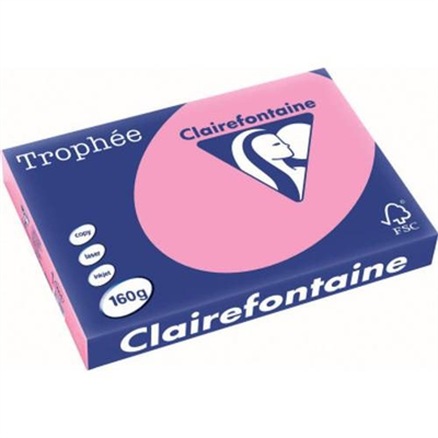 Clairalfa Papier universel Trophée A3 160 g/m2 églantine