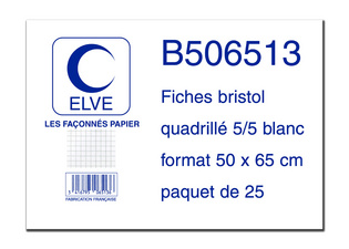 ELVE Fiches bristol quadrillées 5/5 500 x 650 mm 25 fiches