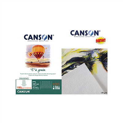 CANSON Bloc papier dessin C à grain A3 180 g/m2