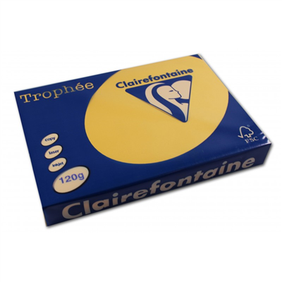 Clairalfa Papier universel Trophée A4 120 g/m2 bouton d'or