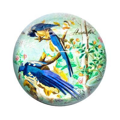 Le Musée presse papiers - Geais pie - Audubon
