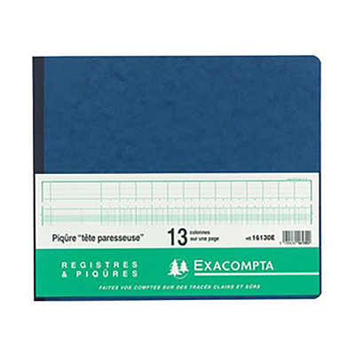 EXACOMPTA piqure tête paresseuse 17 colonnes sur 2 pages,