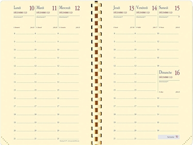 Quo Vadis Agenda planning 16 S 521001Q