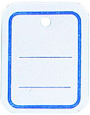 agipa Etiquette à suspendre 39 x 55 mm perforé ligné