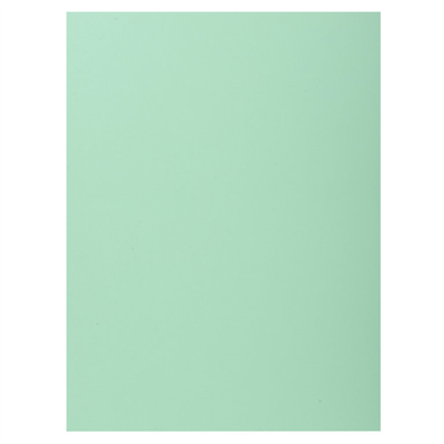 EXACOMPTA Chemise SUPER 250 A4 vert pré