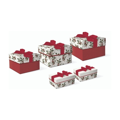 Punch Studio Boite avec ruban Birch Holy