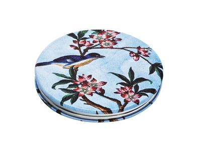 Editions du Désastre Collection Le Musée miroir Oiseau Estampe