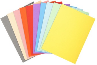 EXACOMPTA Chemises FOREVER 250 A4 orange