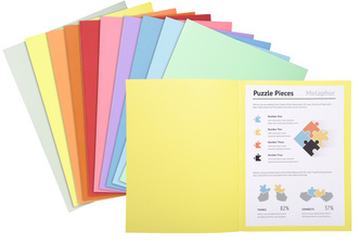 Exacompta Chemises Super 250, A4, couleurs assorties 330000E