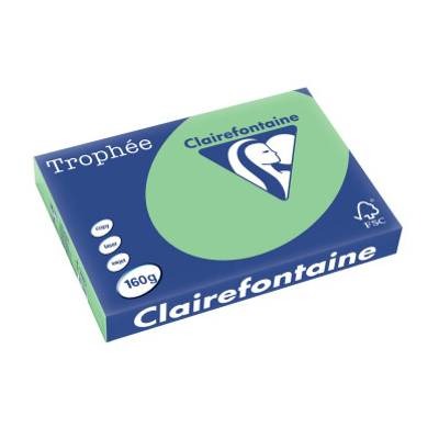 Clairalfa Papier universel Trophée A3 160 g/m2 vert nature