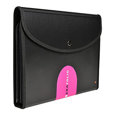 EXACOMPTA Trieur conférencier EXAFOLIO 6 compartiments,noir