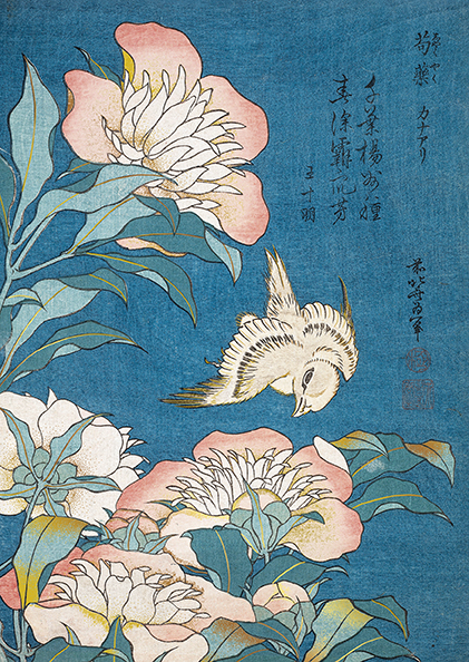 Art & Kraft Cahier A5 oiseau et pivoines